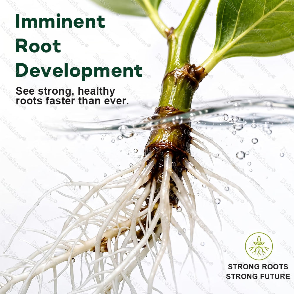 👨‍🌾𝐎𝐟𝐟𝐢𝐜𝐢𝐚𝐥 𝐔𝐒 𝐒𝐭𝐨𝐫𝐞🌱Healrize® Plant Fertilizer Liquid Plant Food Concentrate✨Time-Limited Discount🎉