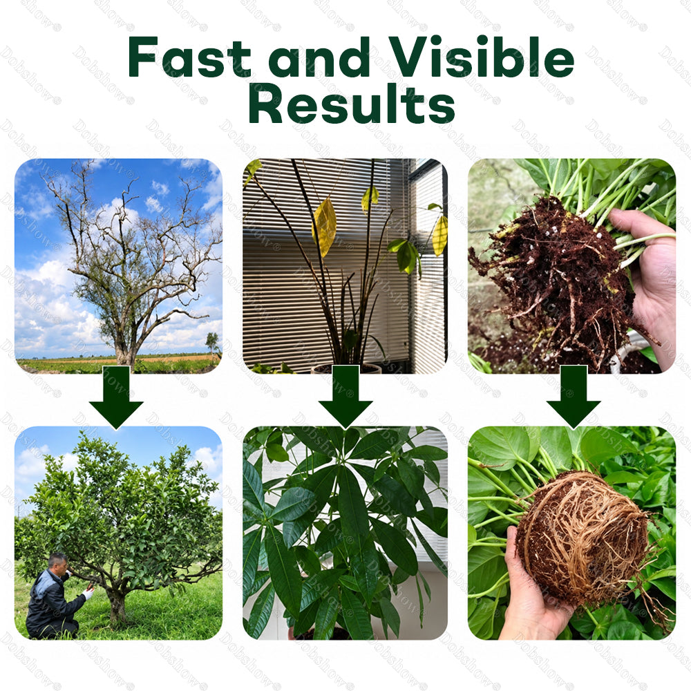 👨‍🌾𝐎𝐟𝐟𝐢𝐜𝐢𝐚𝐥 𝐔𝐒 𝐒𝐭𝐨𝐫𝐞🌱Healrize® Plant Fertilizer Liquid Plant Food Concentrate✨Time-Limited Discount🎉